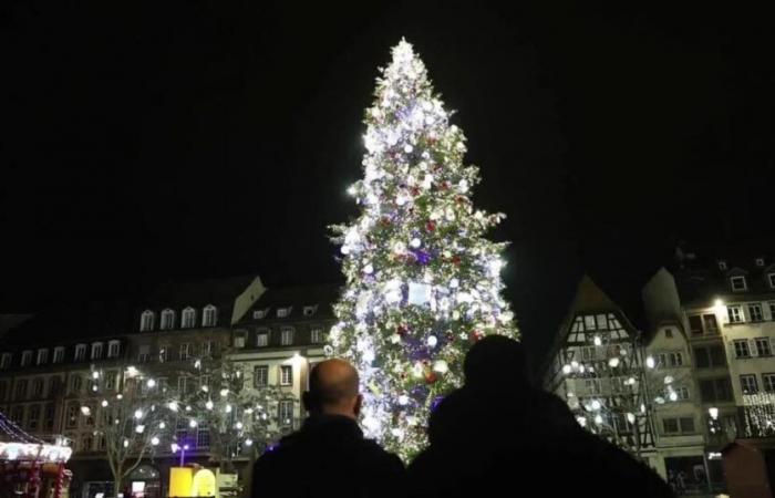 nous vous montrons à quoi ressemble le grand arbre illuminé