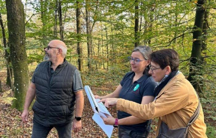 A la recherche de demain | Ardennes. Sport forestier : encadrer plutôt qu’interdire