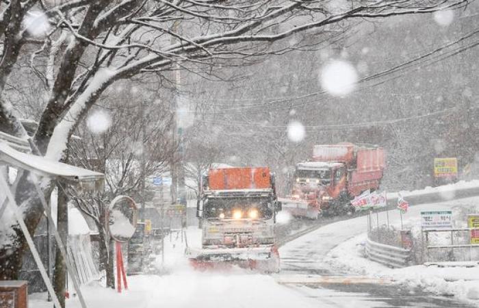 De fortes chutes de neige transforment la Corée en pays des merveilles hivernales — en images