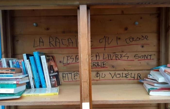 Bouguenais. Boîte à livres dégradée : la colère des utilisateurs