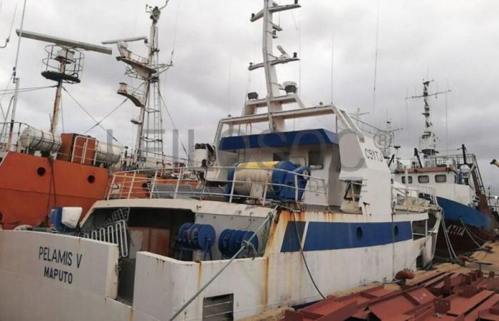 Au cœur d’un scandale financier, huit bateaux de pêche construits à Cherbourg vendus aux enchères