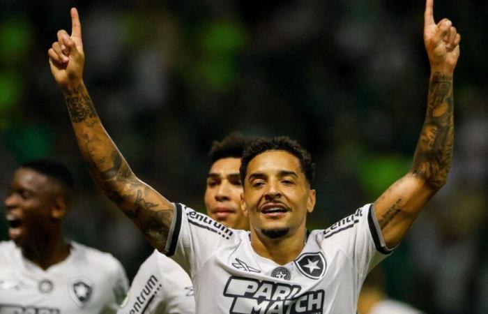 Botafogo bat Palmeiras en « finale » et reprend la tête du Championnat brésilien