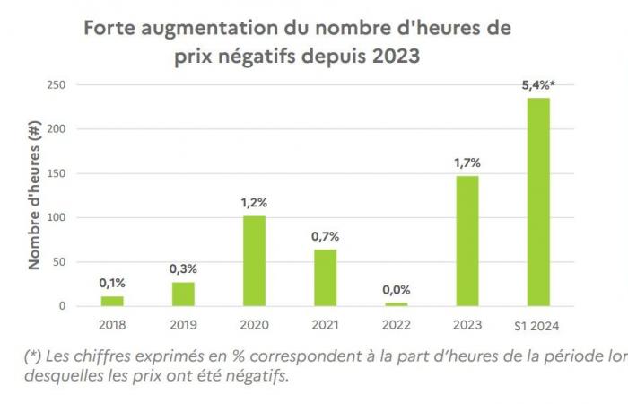 Analyse et recommandations de la CRE sur le phénomène des prix négatifs de l’électricité – pv magazine France