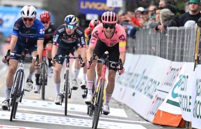 Un manager d’une équipe du World Tour s’en prend au patron du Tour de France !