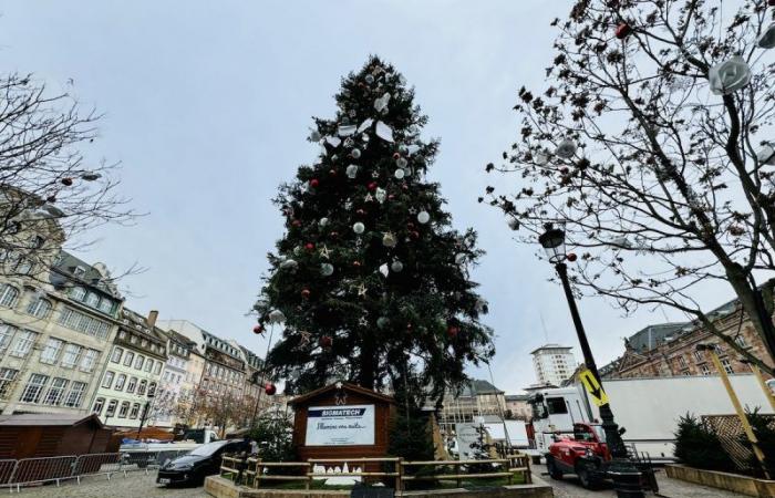 Les 10 commandements pour survivre au marché de Noël de Strasbourg, édition 2024