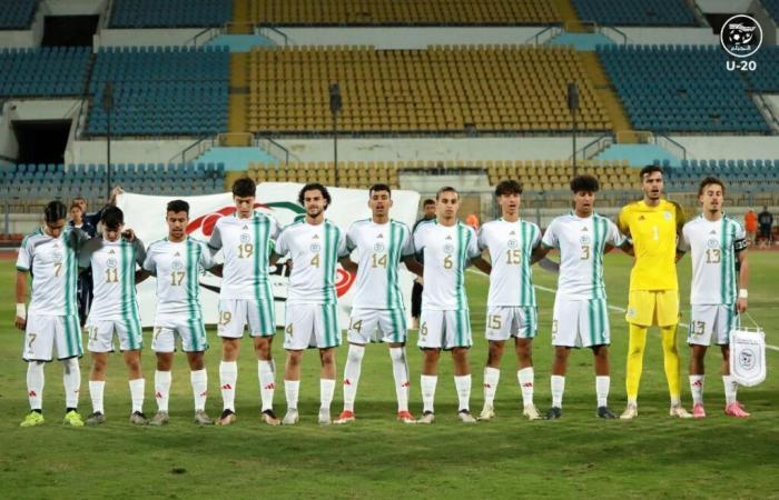 Algérie – Libye (4 à 0), les Verts pour le beurre et l’honneur