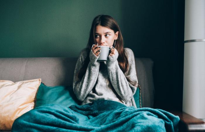 Les 3 meilleurs radiateurs électriques pour rester au chaud cet hiver