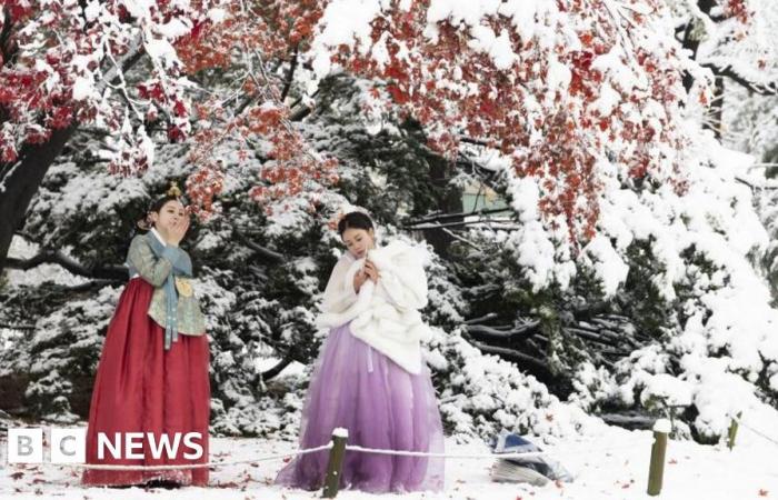 Séoul recouverte par la neige la plus abondante jamais enregistrée en novembre