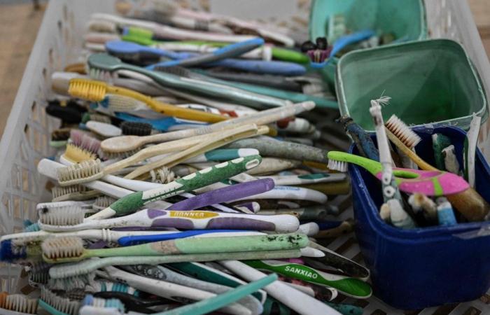 Îles Miaodao chinoises | Des déchets plastiques recyclés en œuvres d’art