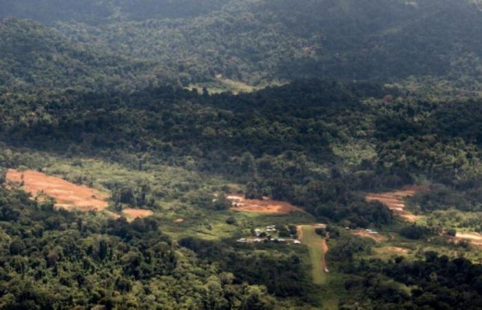 La non-prolongation du projet « Montagne d’or » en Guyane confirmée par la justice administrative : Actualités