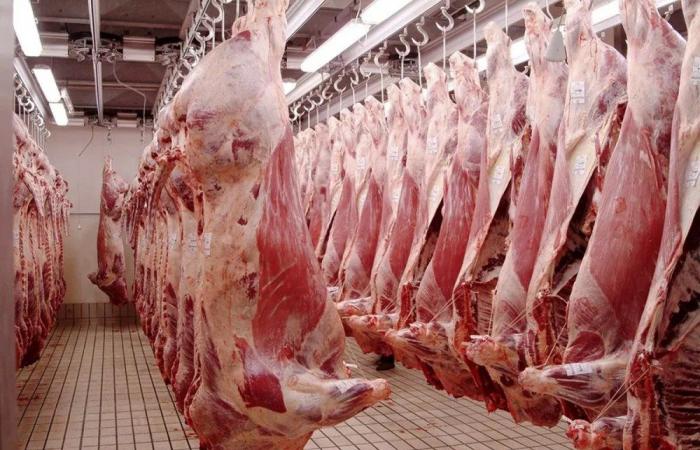 Les prix de la viande rouge dans les abattoirs de Casablanca baissent encore