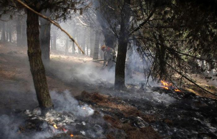 Les incendies de forêt « sous contrôle » dans le sud de l’Équateur