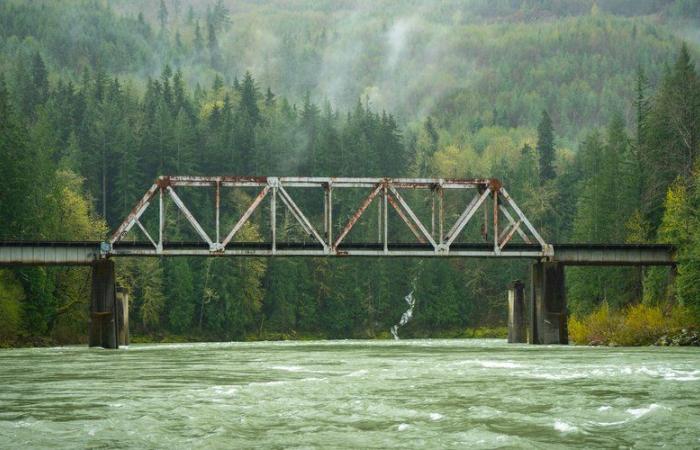 Mathieu, 15 ans, retrouvé mort sous un pont après trois jours de recherches