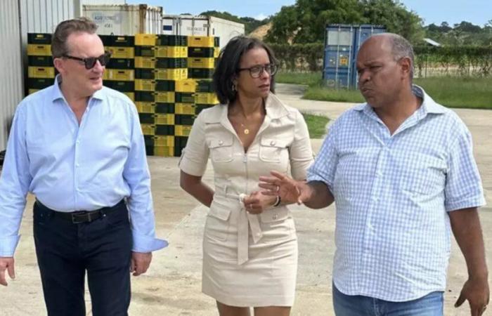 Visite du président de l’UDE-MEDEF Guadeloupe pour mutualiser les enjeux