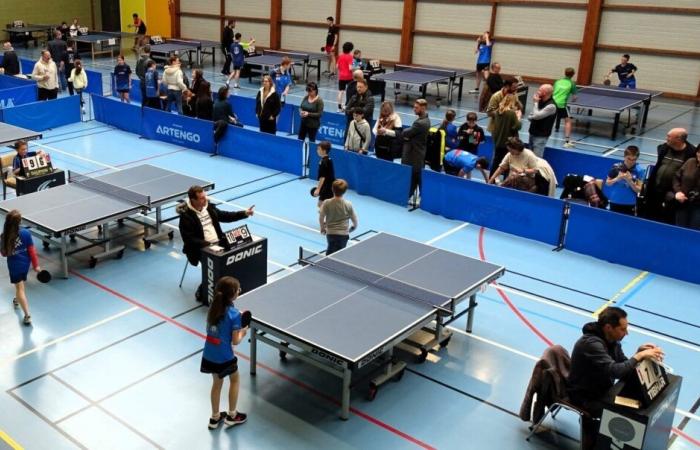 Grâce aux frères Lebrun, le tennis de table suscite beaucoup d’intérêt dans la Manche