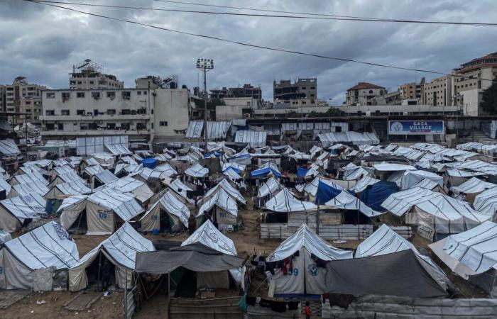 Témoignages de Gazaouis : Survie quotidienne dans l’enfer de Gaza – partie 233 / 27 novembre – 417 jours de guerre à Gaza : une catastrophe humanitaire affectant tous les aspects de la vie – Mouvement de Solidarité Internationale