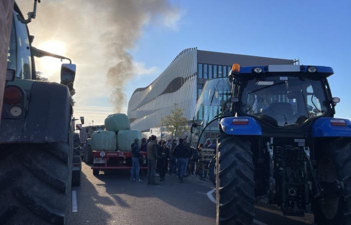 GARD Agriculture : quatre raisons de démontrer