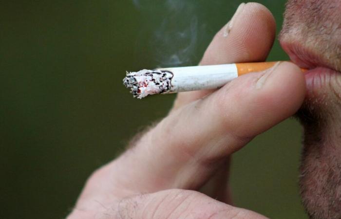 la mairie interdit la cigarette aux abords des écoles et des crèches