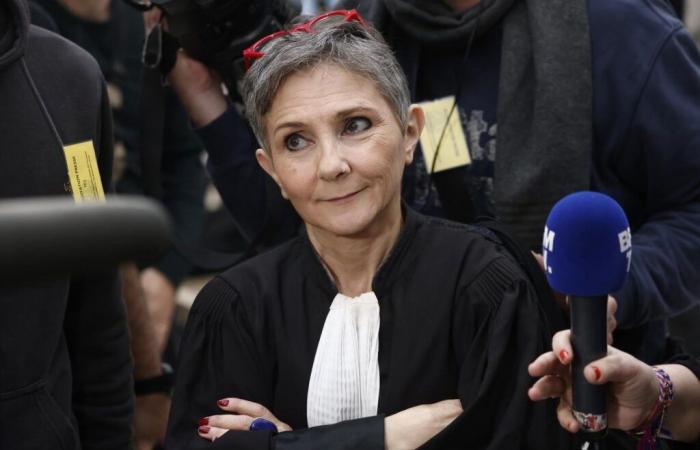 Béatrice Zavarro, avocate déterminée à défendre Dominique Pelicot