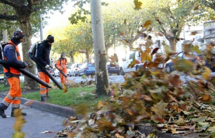 Herbes, mousses, déjections, feuilles mortes… Qui est responsable du nettoyage des trottoirs ?