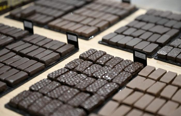 “on va travailler sur d’autres pâtisseries”, face à la hausse du prix du cacao, les professionnels doivent s’adapter