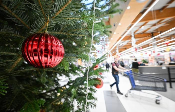 Inondations au centre de la ville de Nevers, notre dossier spécial forêts… L’actualité à retenir ce mercredi