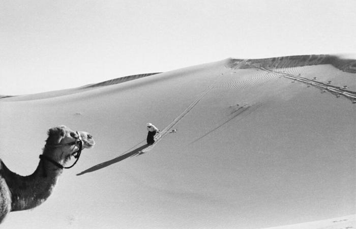 Bernard Plossu & Françoise Huguier