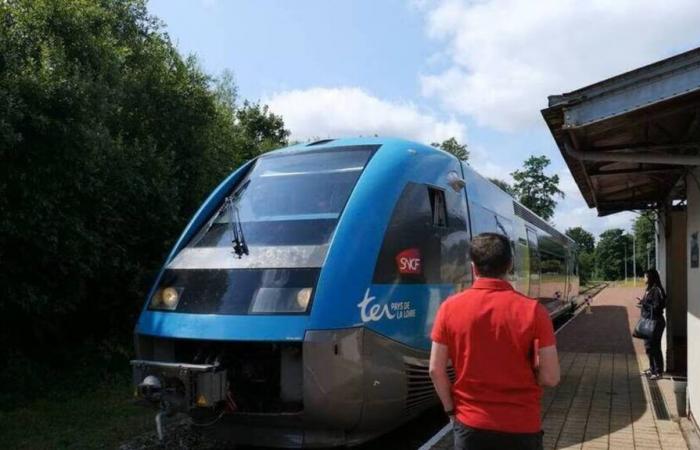 71,9 millions pour rénover entièrement cette petite ligne de train entre Côtes-d’Armor et Finistère