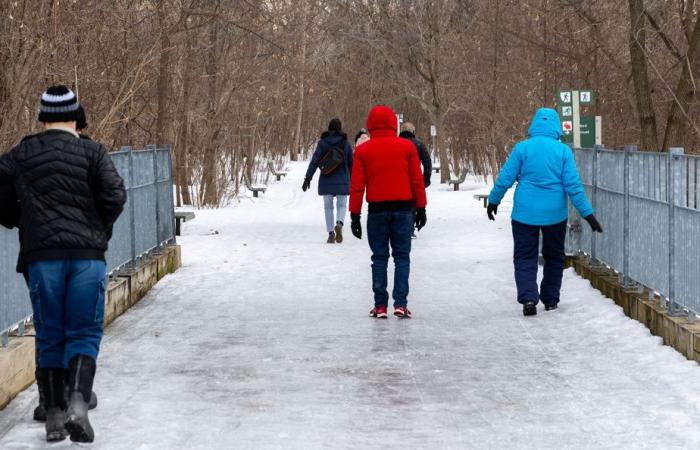 Prévisions du réseau météo | Un hiver doux avec beaucoup de précipitations