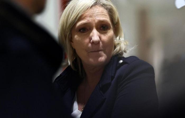 L’avocat de Marine Le Pen plaide une dernière fois pour éviter une “mort politique”