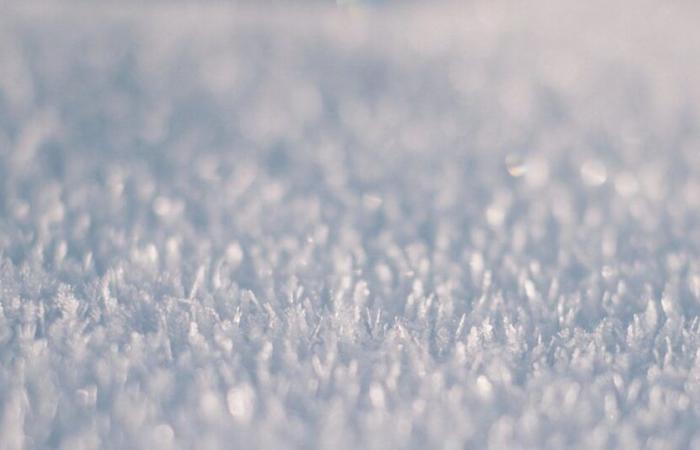 le message déchirant d’un jeune Belge avant de mourir, surpris par une tempête de neige en Suède : Actualités