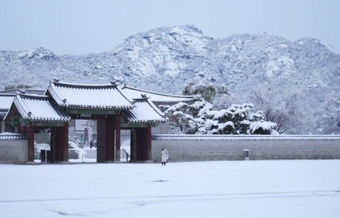 La plus grosse tempête de neige de novembre depuis un demi-siècle frappe Séoul et immobilise les vols