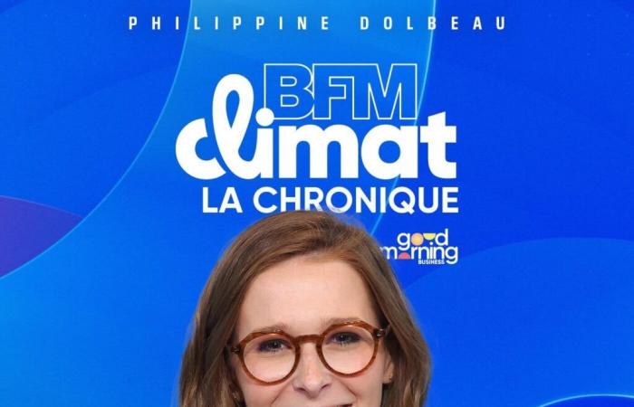 BFM Climat du vendredi 22 novembre