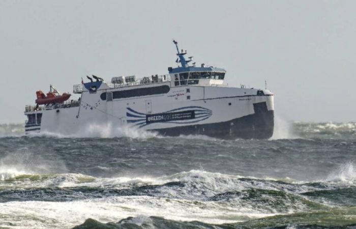 elle a accouché à bord du navire entre Groix et Lorient