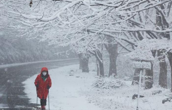 De fortes chutes de neige transforment la Corée en pays des merveilles hivernales — en images