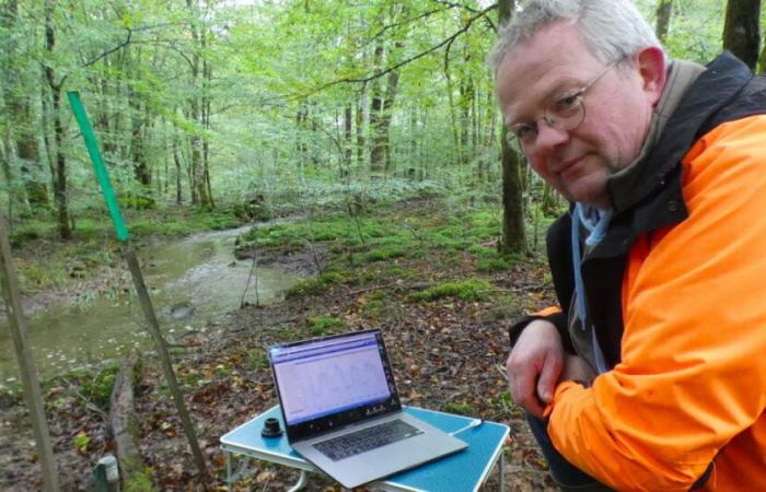 J’ai juré. En forêt de Chaux, la restauration des cours d’eau porte ses fruits