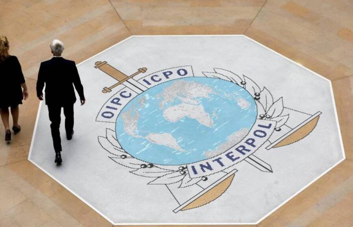 La lutte contre les escroqueries en ligne atteint des records à Interpol