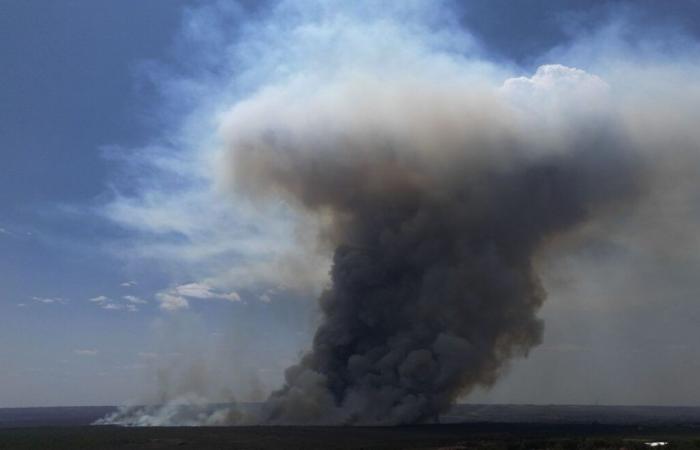 La pollution de l’air due aux incendies est liée à 1,5 million de décès par an, selon une étude publiée dans la revue « The Lancet »