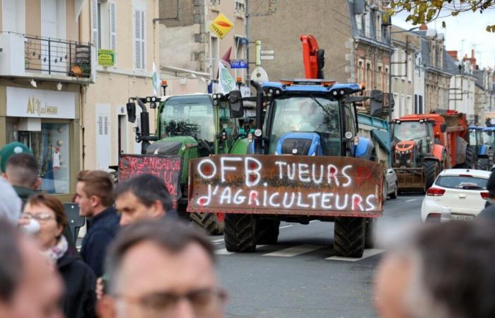 l’Office français de la biodiversité, le fléau des agriculteurs de l’Indre