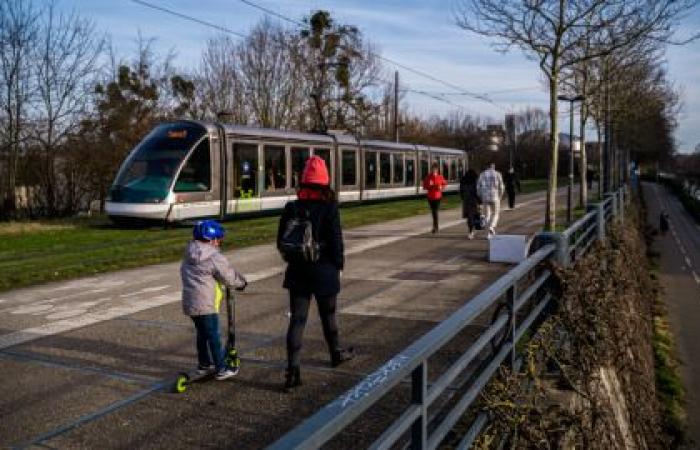 Les 10 commandements pour survivre au marché de Noël de Strasbourg, édition 2024