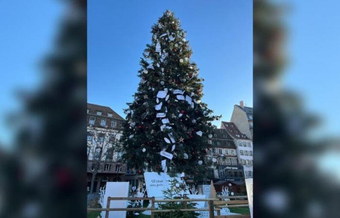 les décorations du grand sapin de Noël de Strasbourg divisent