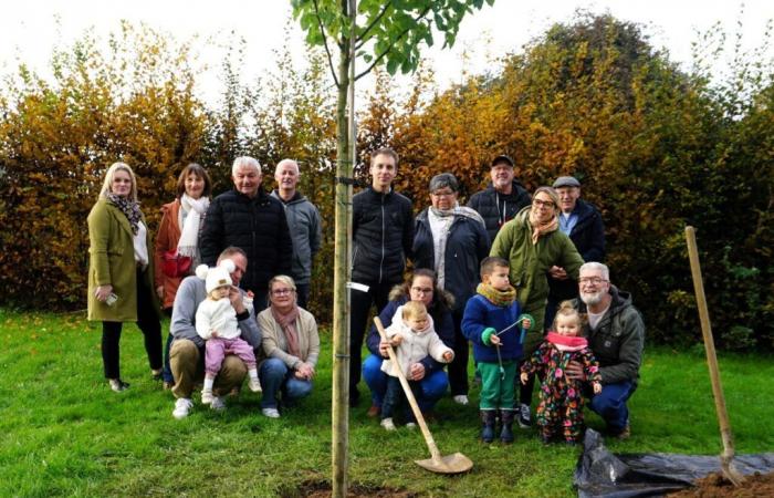 Dans le Calvados, une commune fête les naissances sur un arbre !