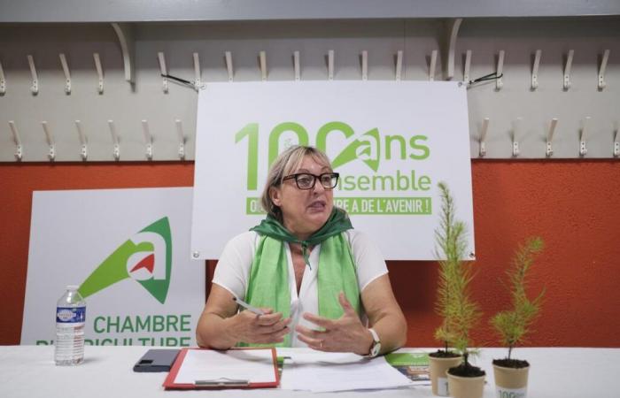 dans les Landes, la lutte se déplace sur le terrain… syndical