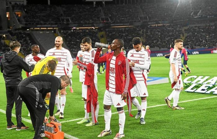 Après la fièvre barcelonaise, le Stade Brestois déjà rattrapé par la L1 et la réception de Strasbourg