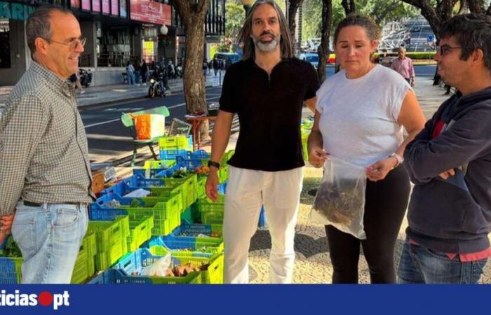 Placa Central Bio Market avec de nouveaux stands — DNOTICIAS.PT