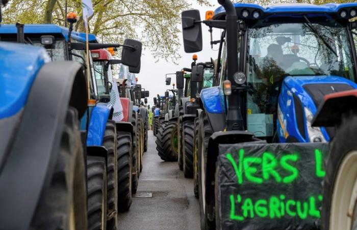 Mobilisation record des agriculteurs du Tarn-et-Garonne