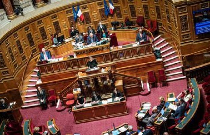 après l’Assemblée, le Sénat soutient à son tour le gouvernement pour s’opposer au traité