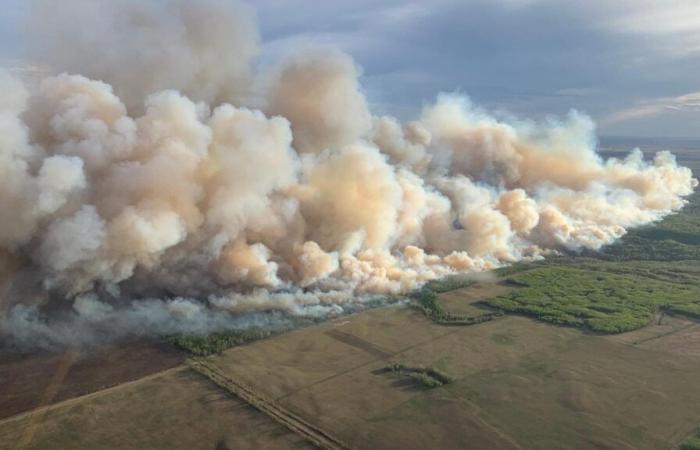 La pollution de l’air causée par les incendies de forêt est liée à 1,5 million de décès dans le monde chaque année