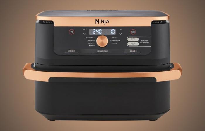 La friteuse Ninja Foodi FlexDrawer est à son prix le plus bas mais les stocks s’envolent des rayons (-30%)