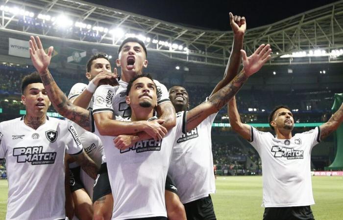 Botafogo bat Palmeiras et reprend la direction du Brasileirão dans un match décisif